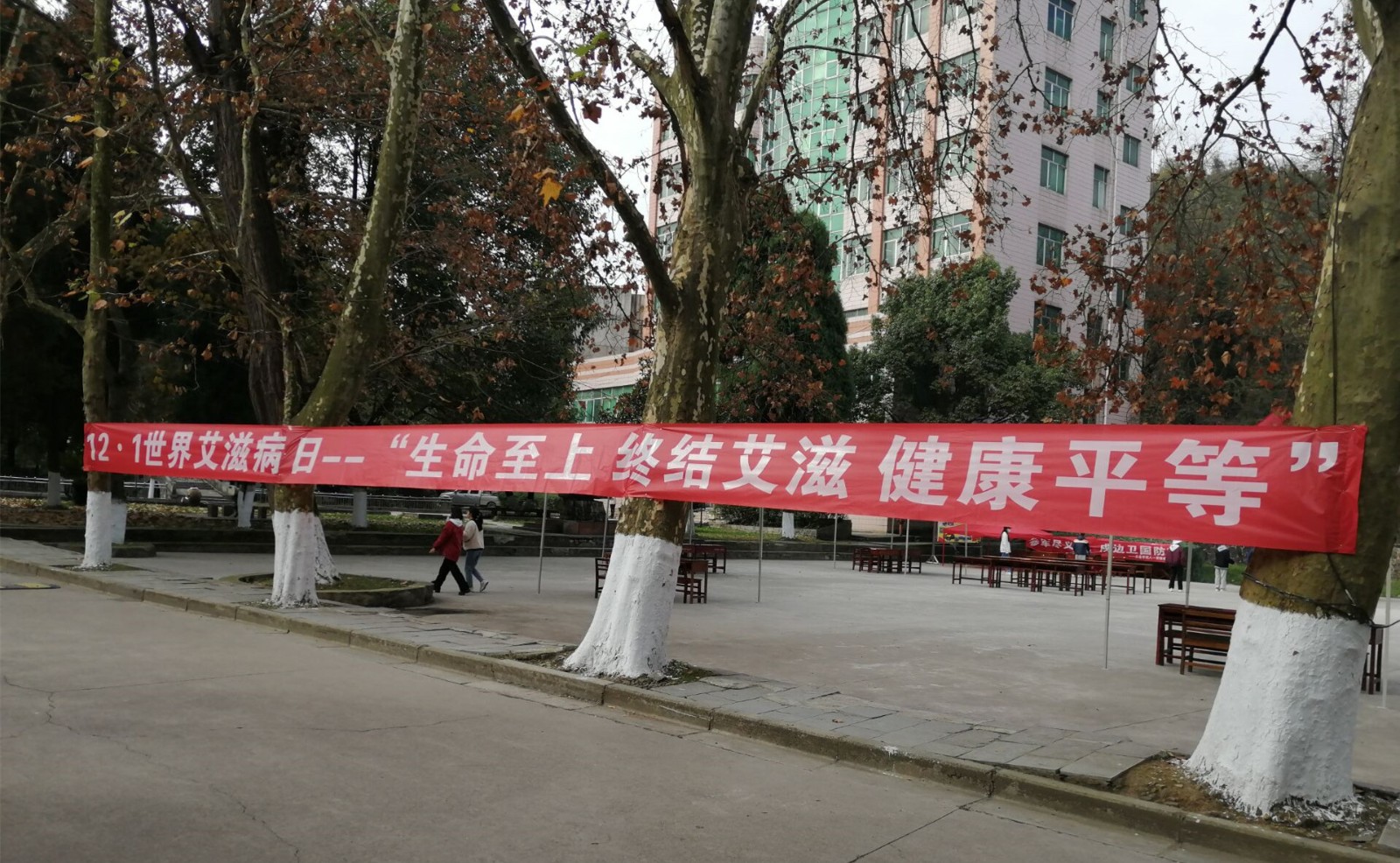 328a9df81253e20.jpg