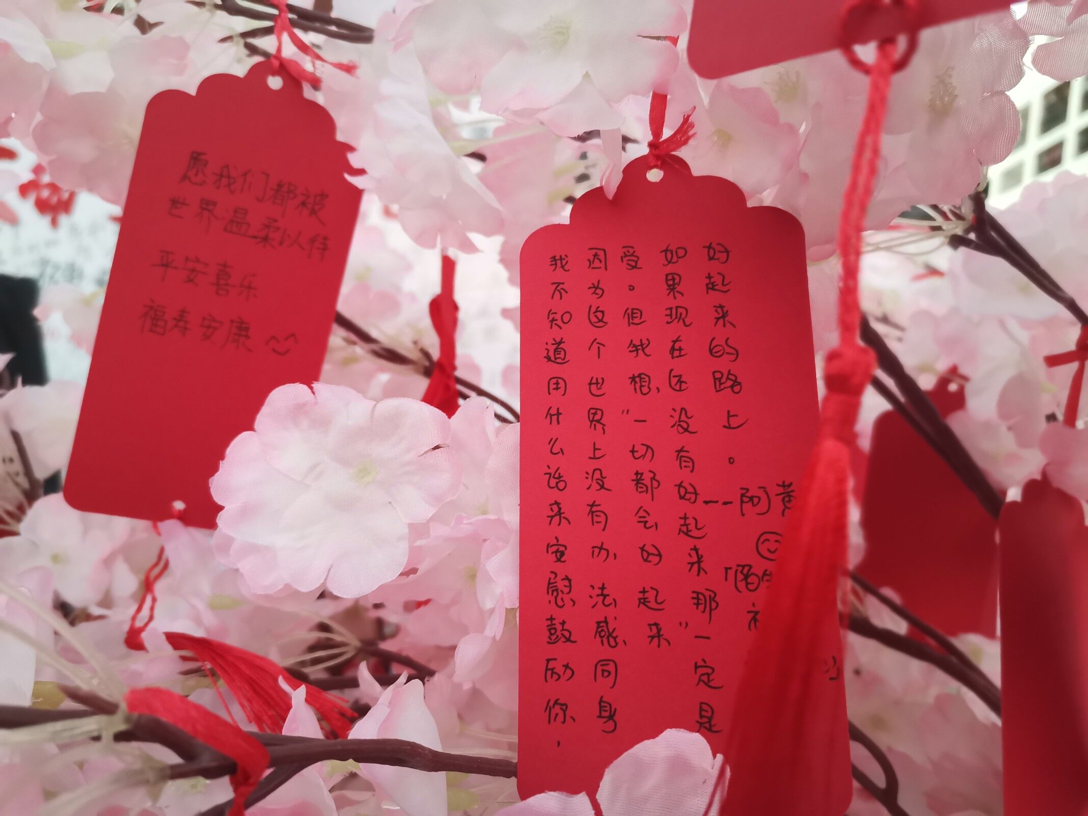 不同的字，同一个心愿2.jpg
